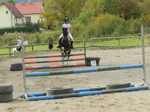 Babie Lato 2016